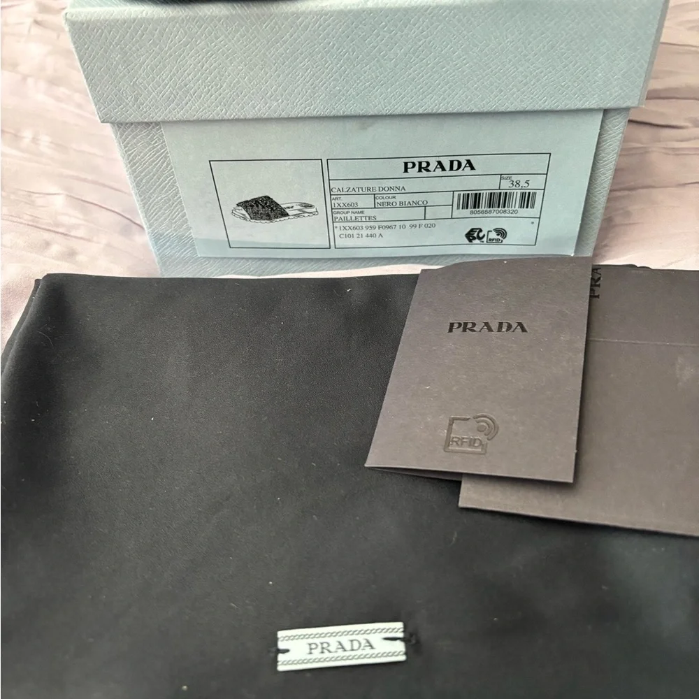 Prada slides - Picture 3 of 11